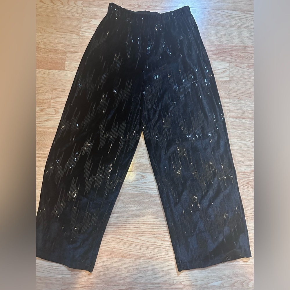 Zara Black Sequin & Velvet Pants